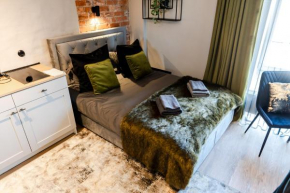 Dreamstay Avangard - shared Roof Terrace, High speed Wifi 200 Mbps & Gym, Tallinn